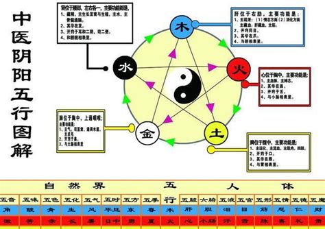 心五行|心字的五行属什么